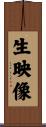 生映像 Scroll
