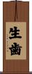 生歯 Scroll