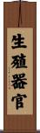 生殖器官 Scroll