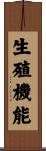 生殖機能 Scroll