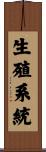 生殖系統 Scroll