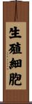 生殖細胞 Scroll