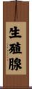生殖腺 Scroll