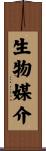 生物媒介 Scroll
