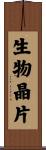 生物晶片 Scroll