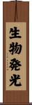 生物発光 Scroll