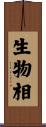 生物相 Scroll