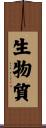 生物質 Scroll