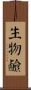 生物鹼 Scroll