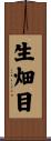 生畑目 Scroll