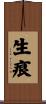 生痕 Scroll
