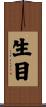 生目 Scroll