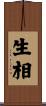生相 Scroll
