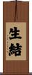 生結 Scroll