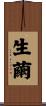 生繭 Scroll