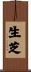 生芝 Scroll