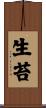 生苔 Scroll