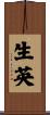 生英 Scroll