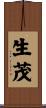 生茂 Scroll