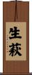 生萩 Scroll