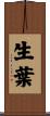 生葉 Scroll