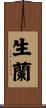 生蘭 Scroll