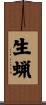 生蝋 Scroll