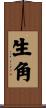 生角 Scroll