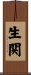 生関 Scroll