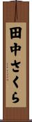 田中さくら Scroll