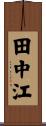 田中江 Scroll