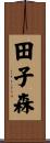 田子森 Scroll