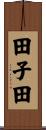 田子田 Scroll