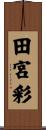 田宮彩 Scroll