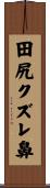 田尻クズレ鼻 Scroll