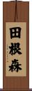 田根森 Scroll