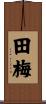 田梅 Scroll