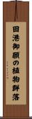 田港御願の植物群落 Scroll