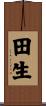 田生 Scroll