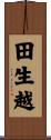 田生越 Scroll