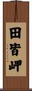 田皆岬 Scroll