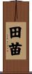 田苗 Scroll