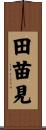 田苗見 Scroll