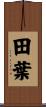 田葉 Scroll