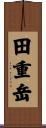 田重岳 Scroll