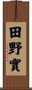 田野實 Scroll