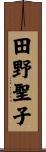 田野聖子 Scroll