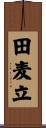 田麦立 Scroll