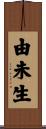 由未生 Scroll
