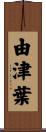 由津葉 Scroll